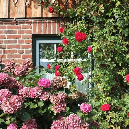 Ferienvermietung Meerlandliebe